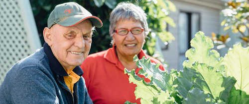 Christchurch Elderly Daycare