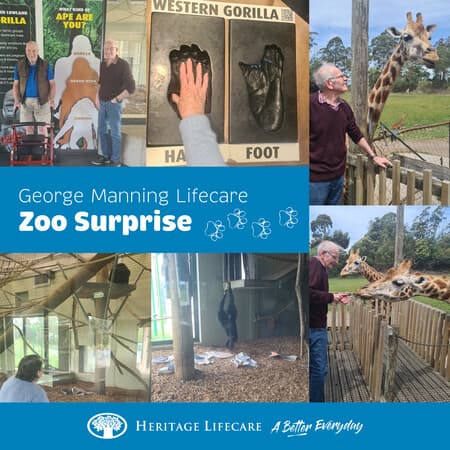 Zoo Surprise