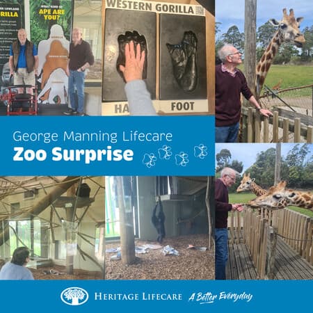 Zoo Surprise