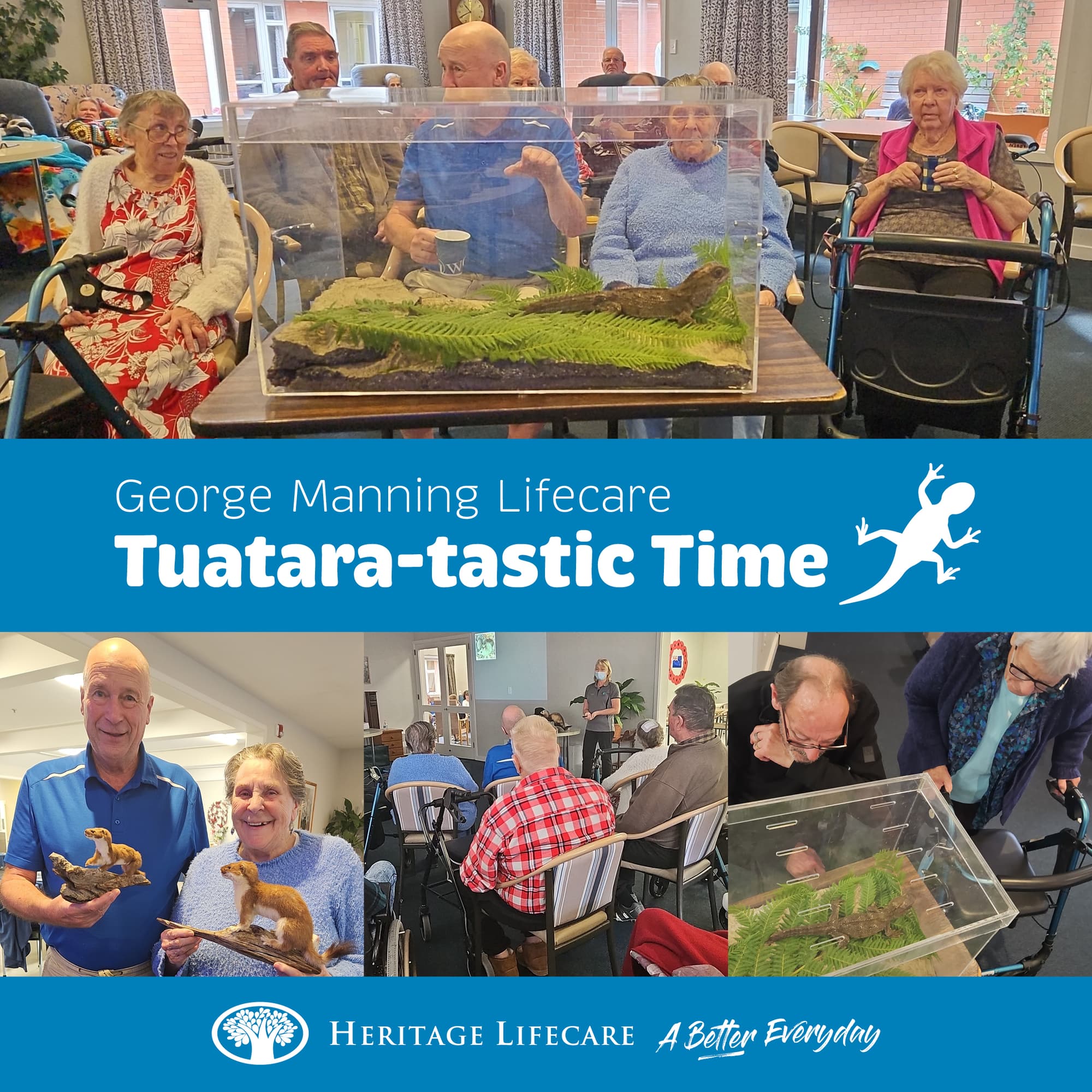 Tuatara-tastic time at George Manning!