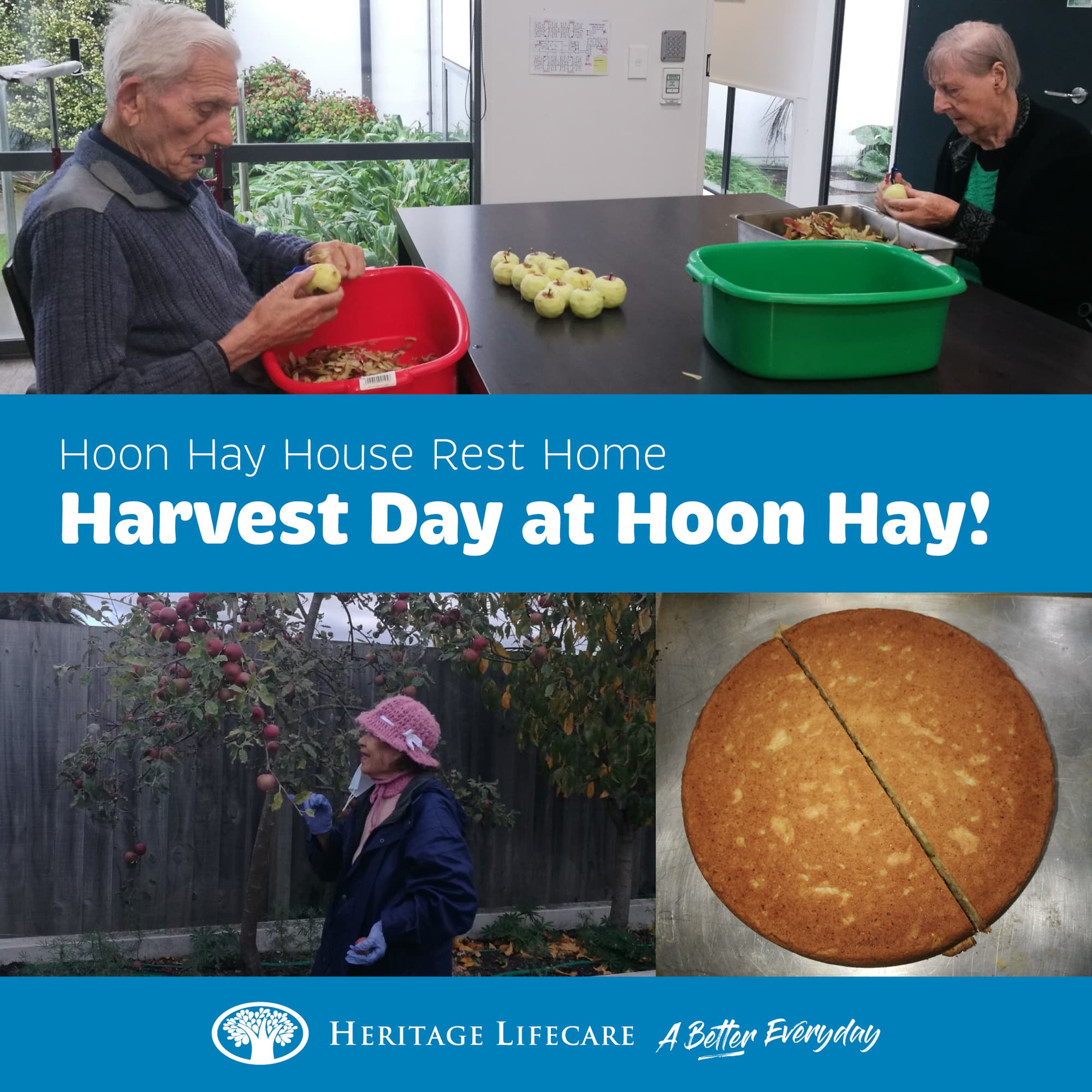 Harvest Day at Hoon Hay!