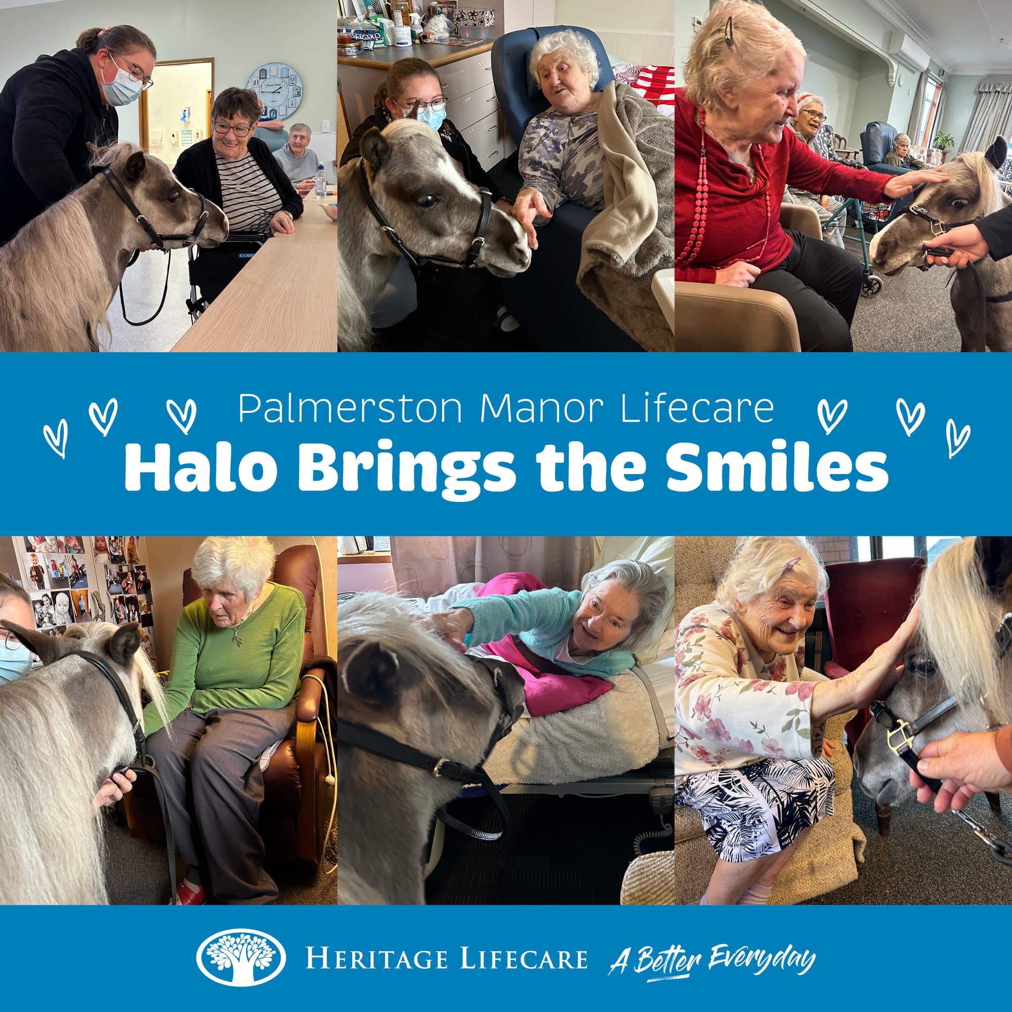 Halo Brings the Smiles