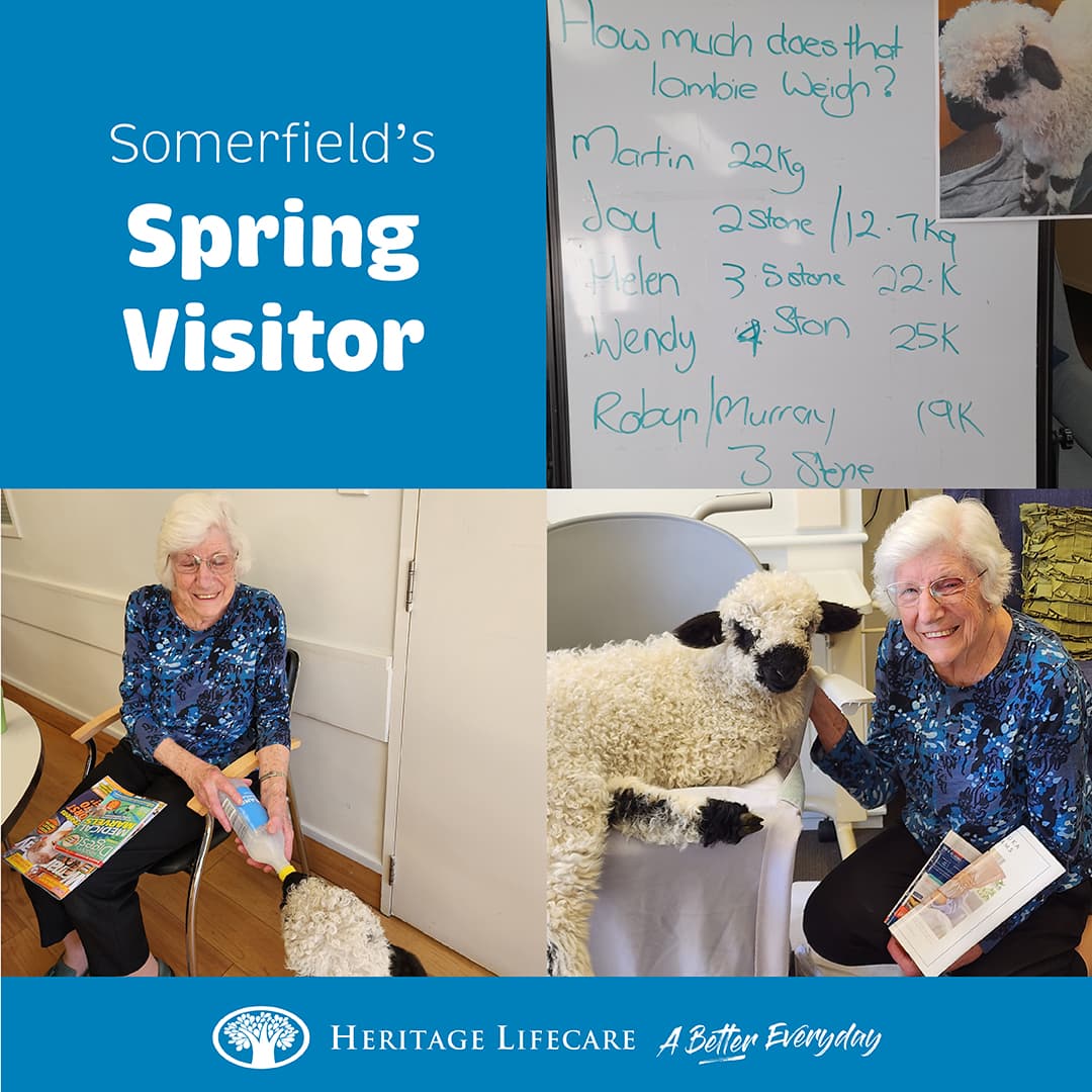 ​Somerfield's Spring Visitor