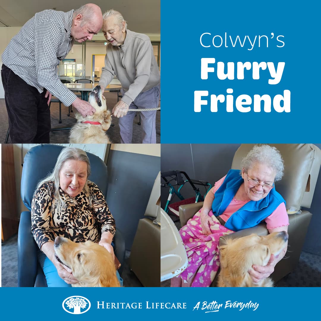 ​Colwyn's Furry Friend