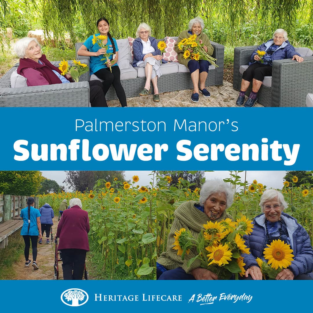 ​Palmerston Manor's Sunflower Serenity