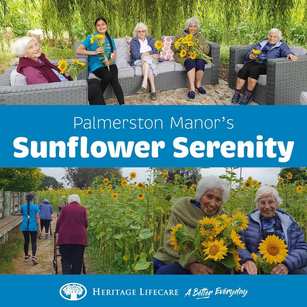 ​Palmerston Manor's Sunflower Serenity