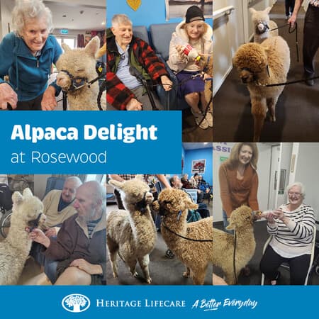 Alpaca Delight at Rosewood