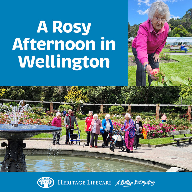 A Rosy Afternoon in Wellington