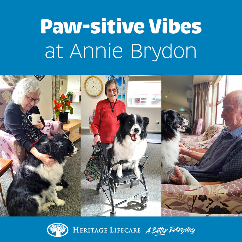 Paw-sitive Vibes at Annie Brydon