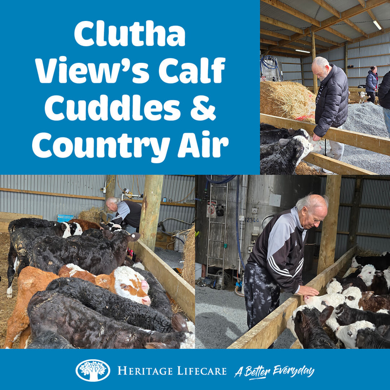 ​Clutha View's Calf Cuddles & Country Air