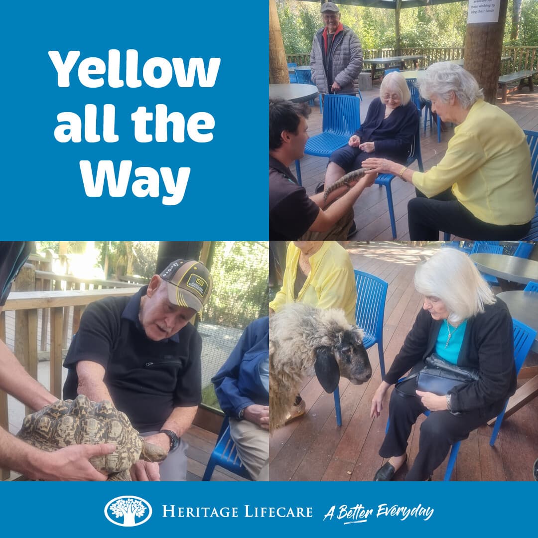 ​Yellow All the Way