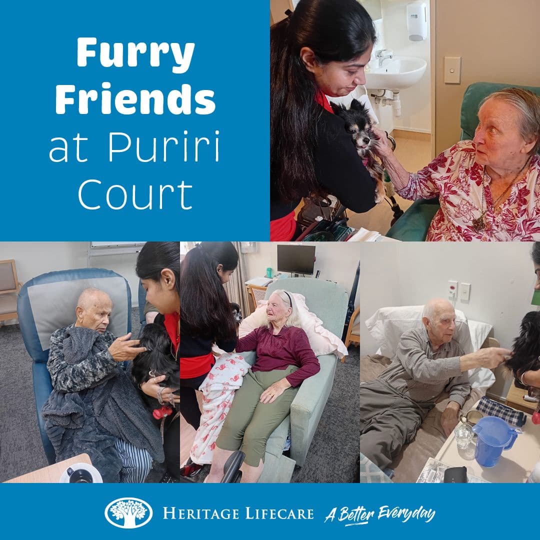 Furry Friends at Puriri Court