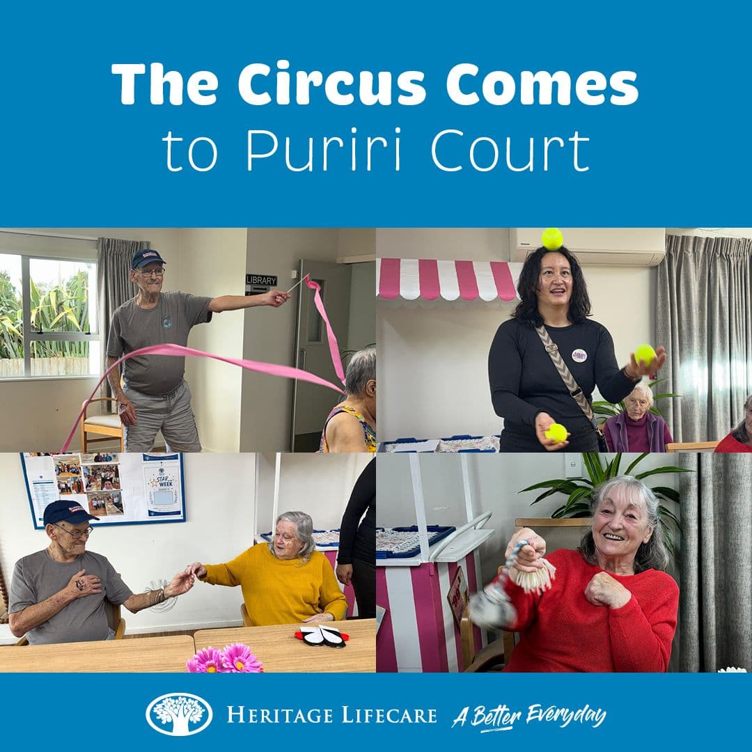 The Circus Comes to Puriri Court