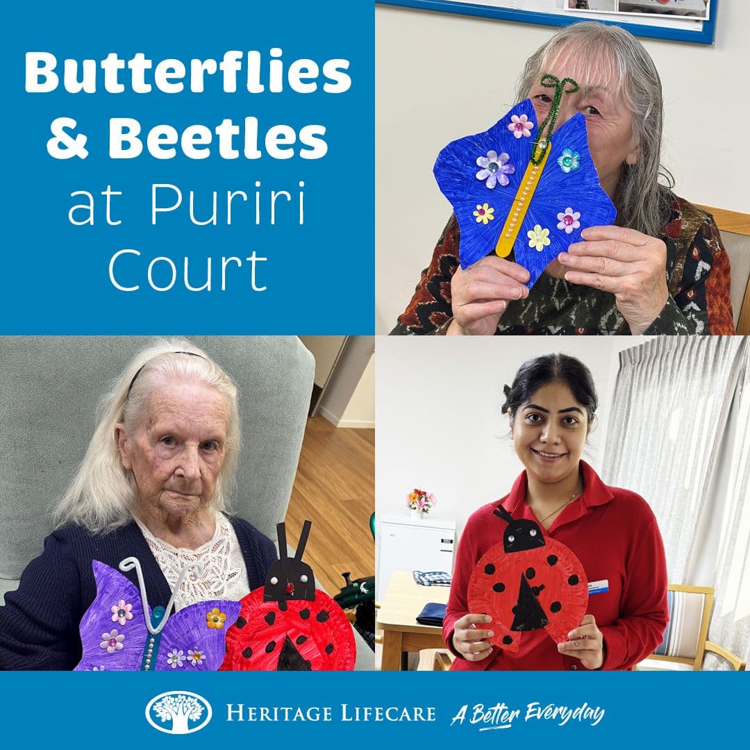 Butterflies and Beetles at Puriri Court