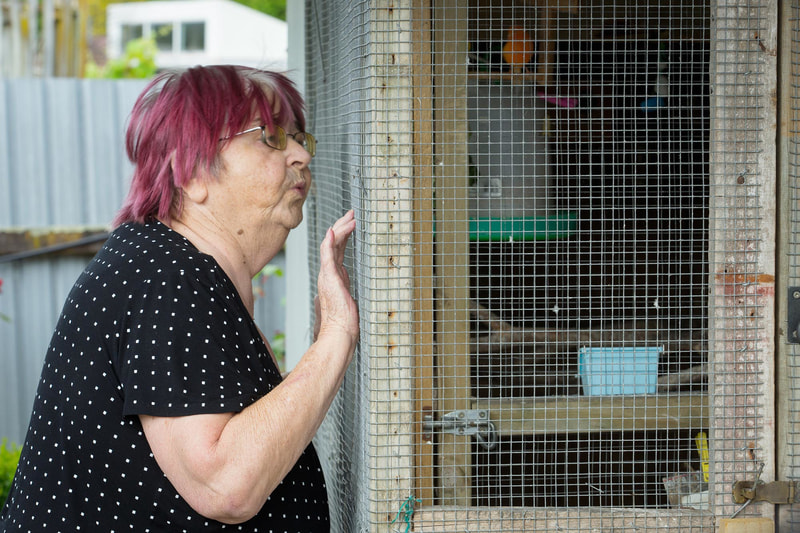 Palmerston Manor Lifecare_03