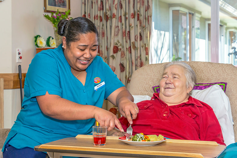 Site-PrincesCourtLifecare-02