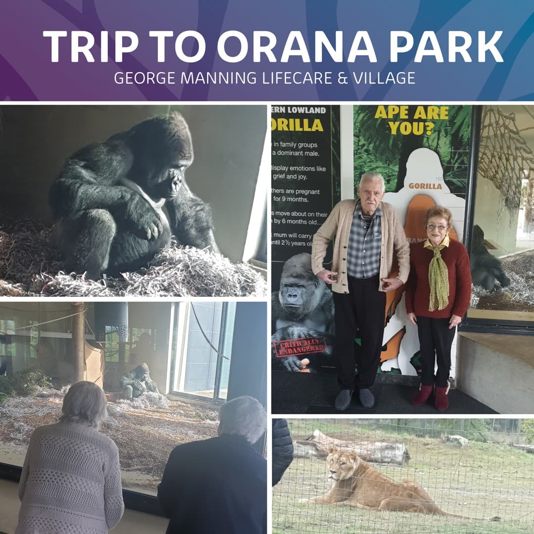 Trip To Orana Park
