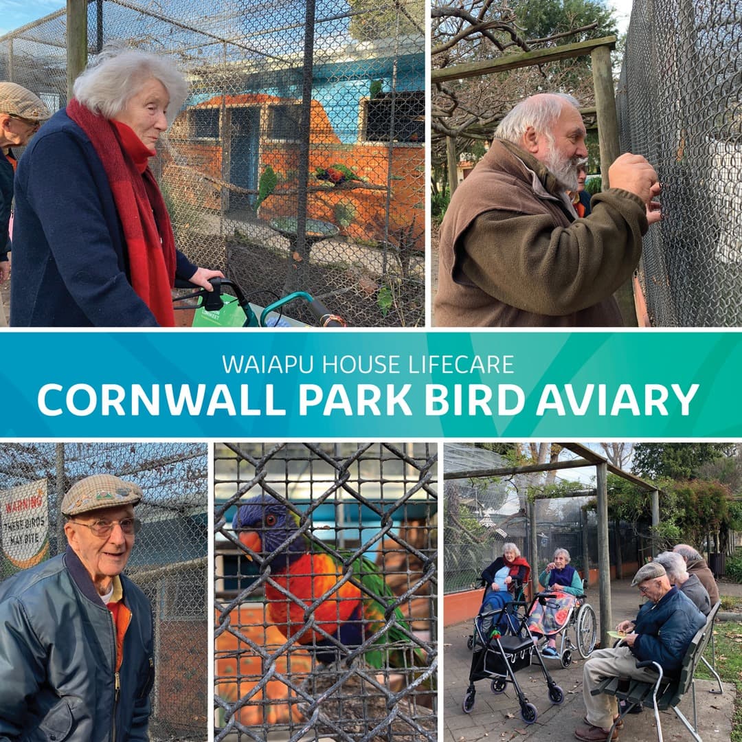 Cornwall Park Visit