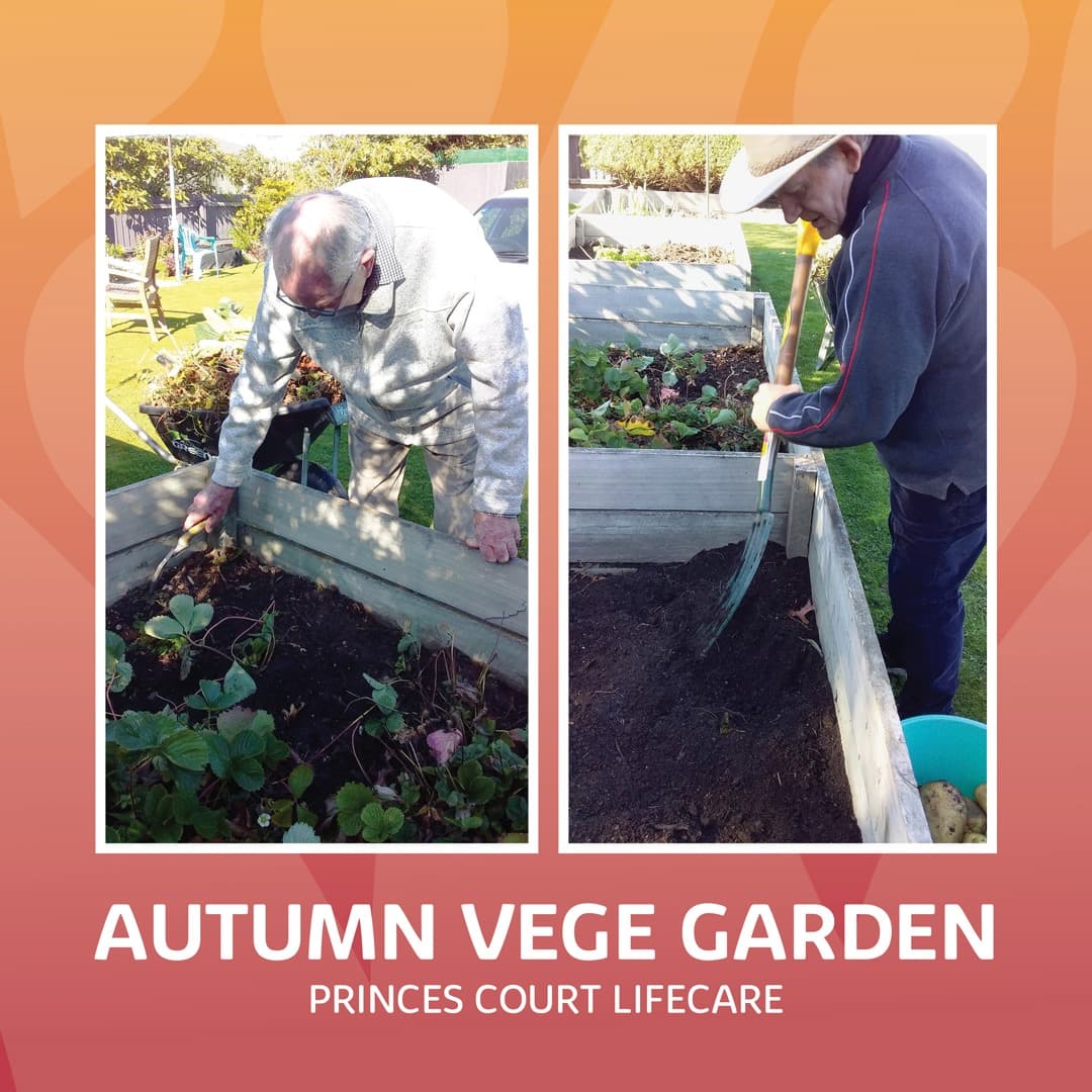 Autumn Vege Garden