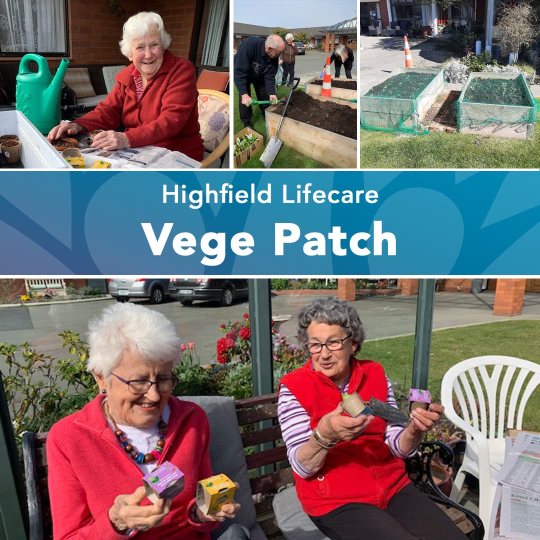 Highfield Vege Patch!