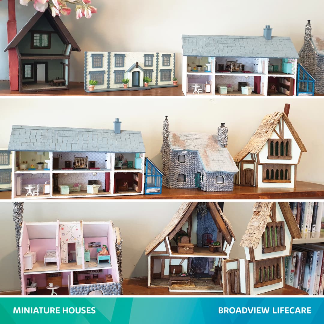 Broadview Miniature House Talent!
