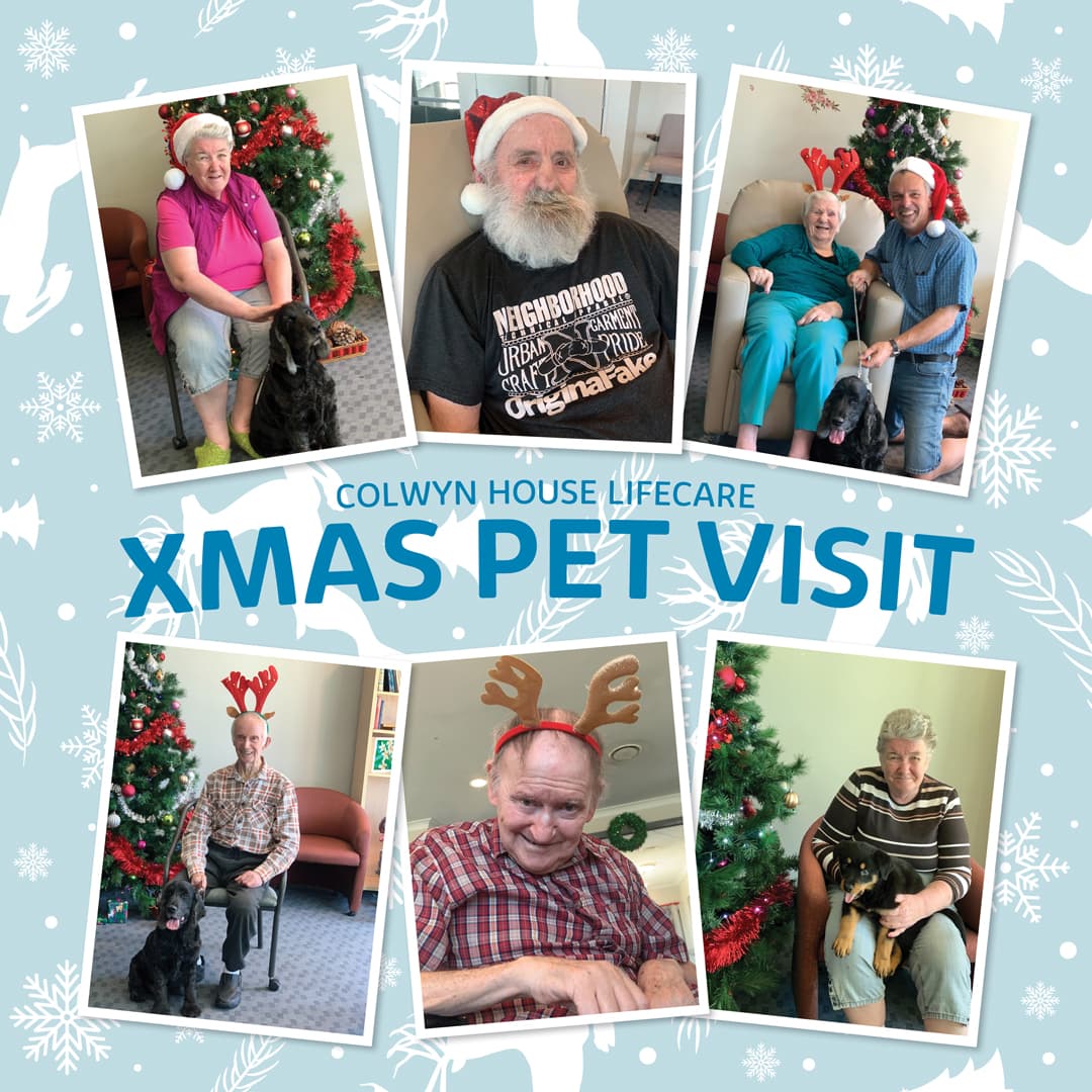 Christmas Pet Therapy!