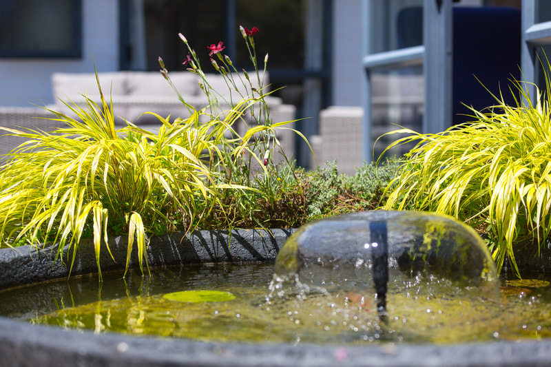 Telford Lifecare-2020-08