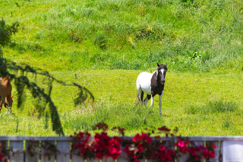 Telford Lifecare-2020-09