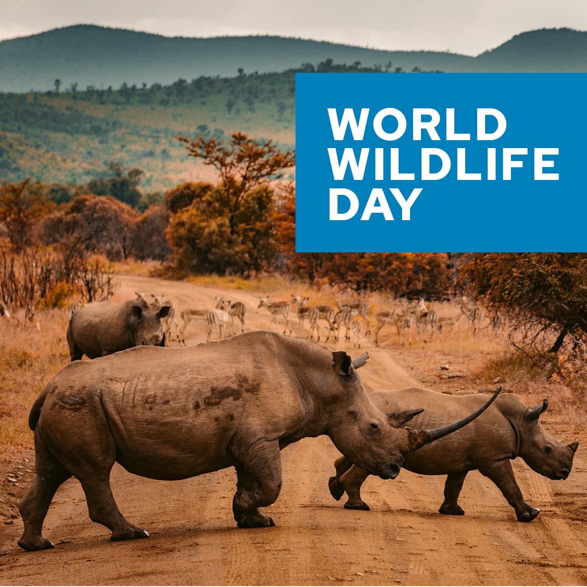 World Wildlife Day