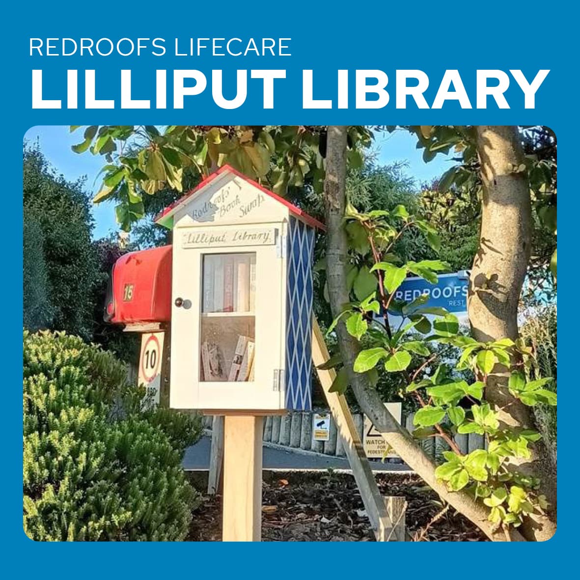 Lilliput Library