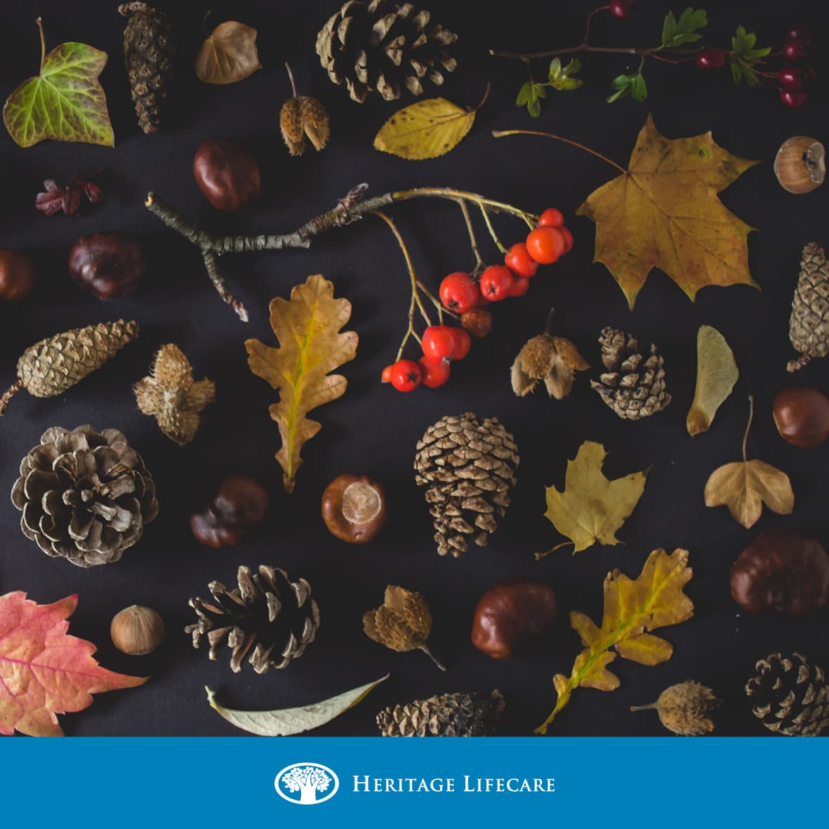 ​We’re now in the last month of Autumn. What’s your favourite thing about Autumn where you live?​​