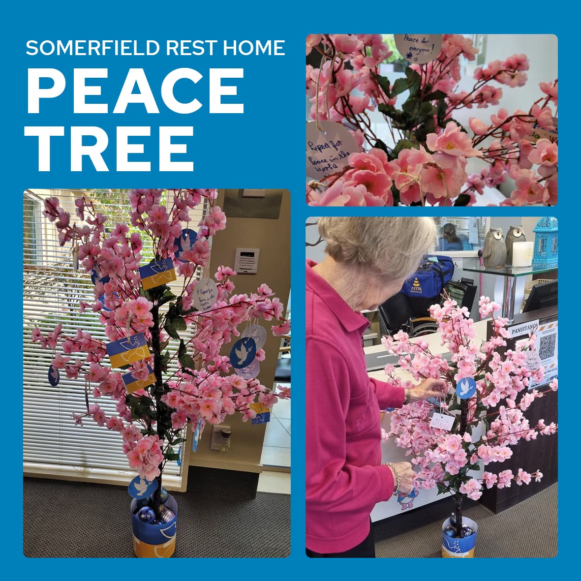 Somerfield Peace Tree 