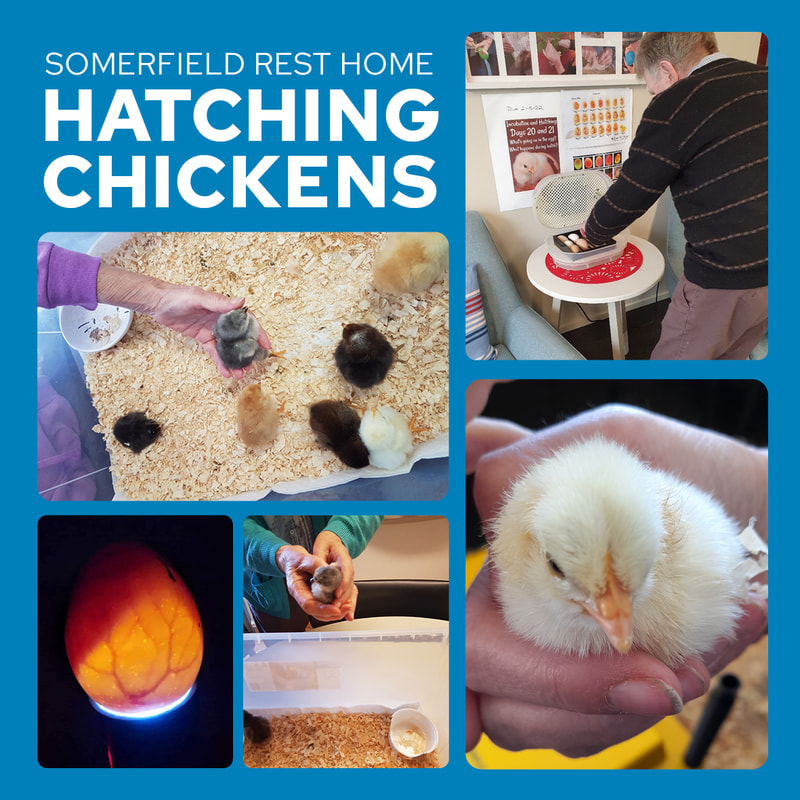 Somerfield's lockdown saving idea 