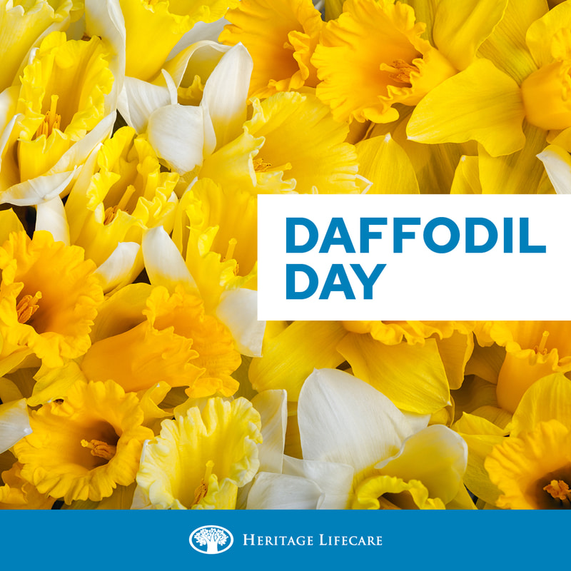 Daffodil Day