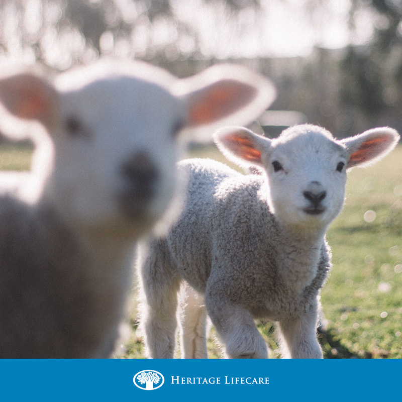 First day of Spring! 