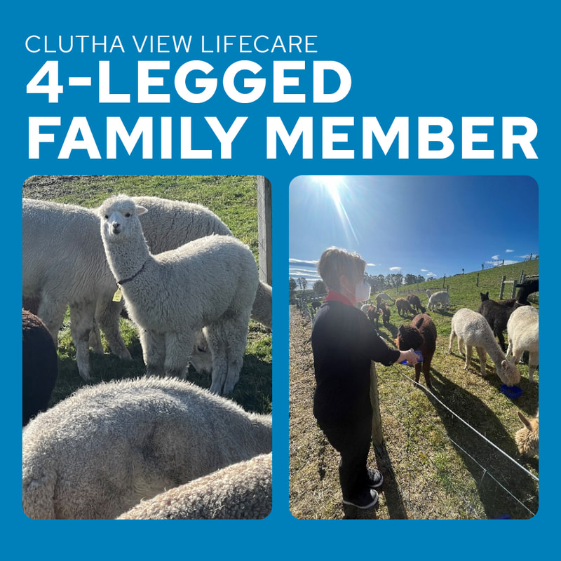 Clutha Views' furry friends 