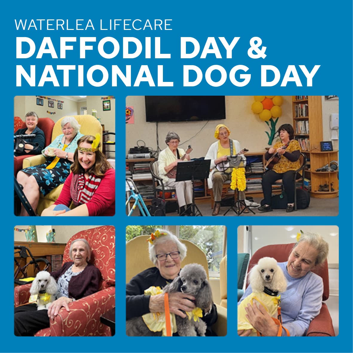 Waterlea Celebrates National Dog Day & Daffodil Day