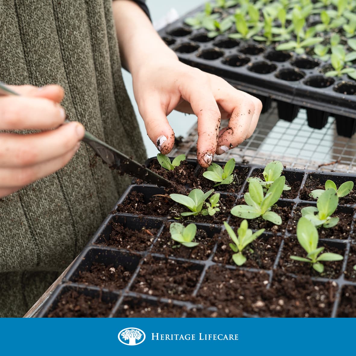 Spring is well and truly here! 