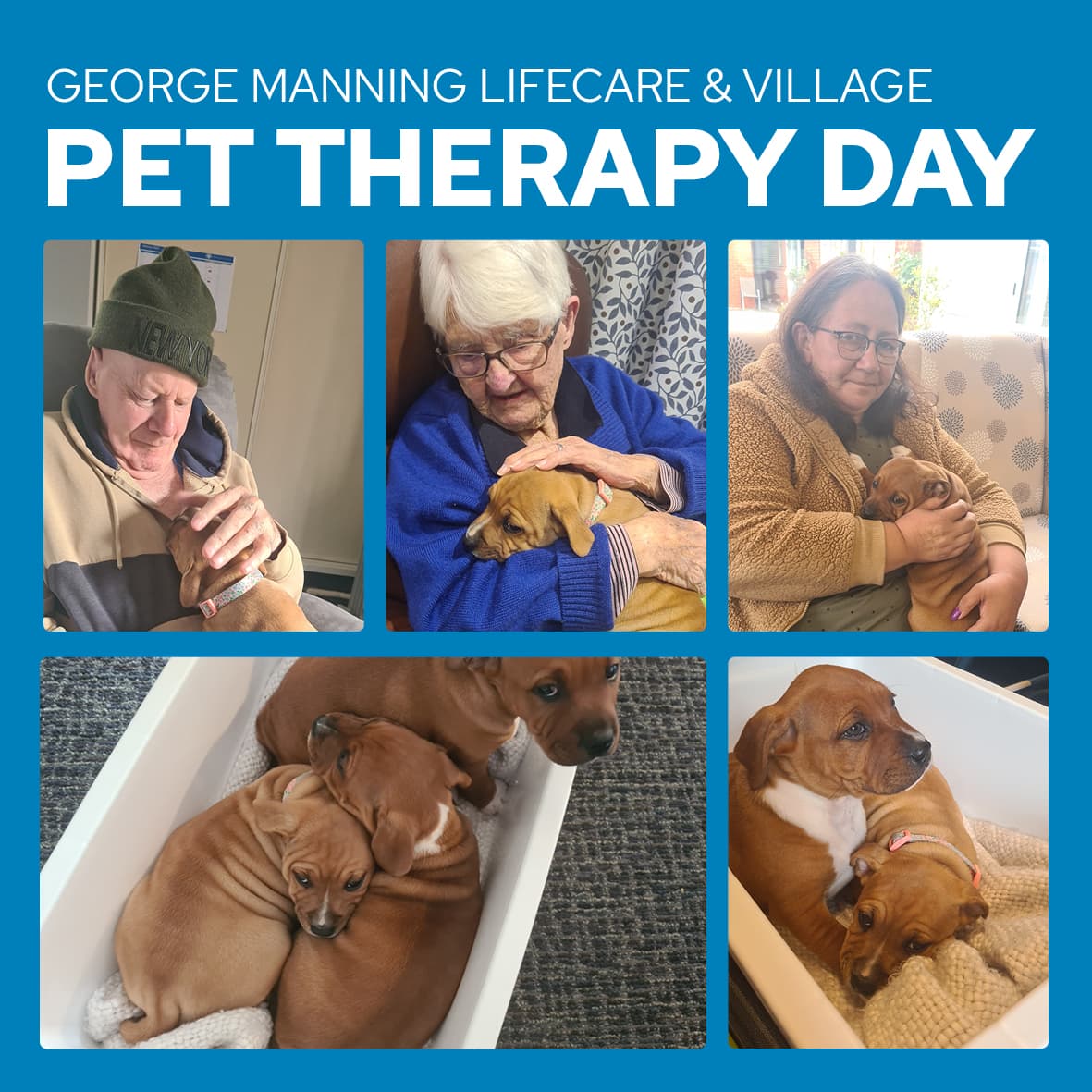 Pet Therapy Day!