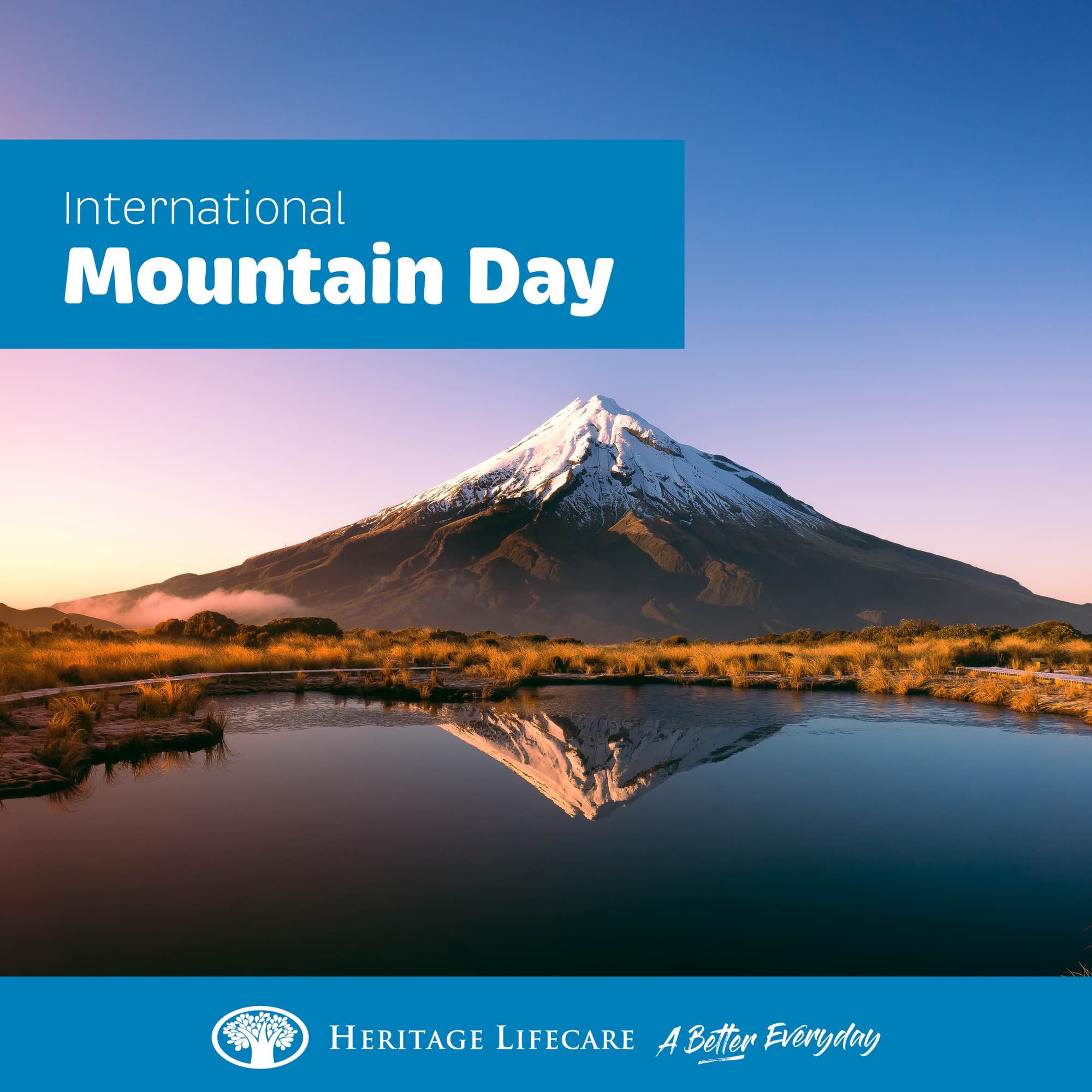 International Mountain Day