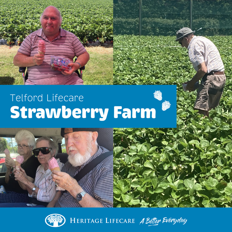 ​Summer of Sunflowers and Strawberries